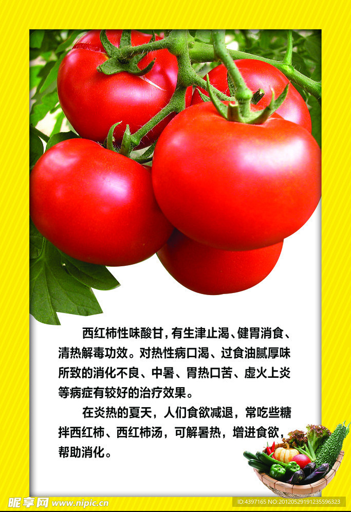 西紅柿