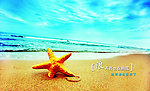 沙滩 海星 蓝天