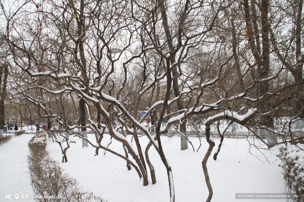 雪塑線條