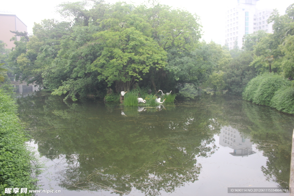 綠樹和湖水