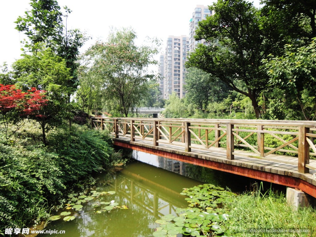 公園一角 木橋