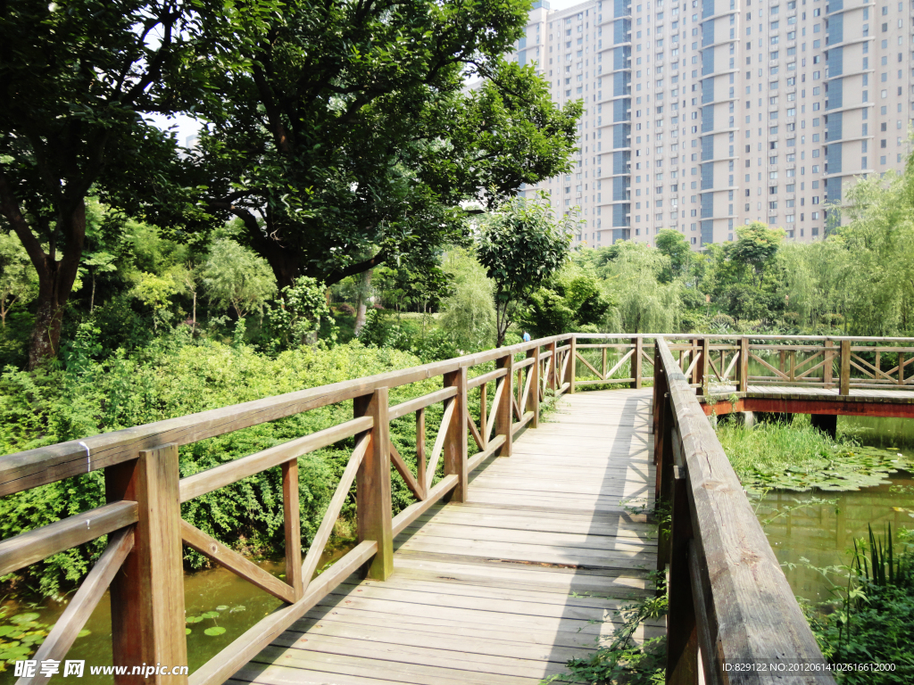 公園一角 木橋