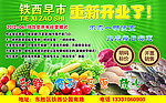 早市宣傳單
