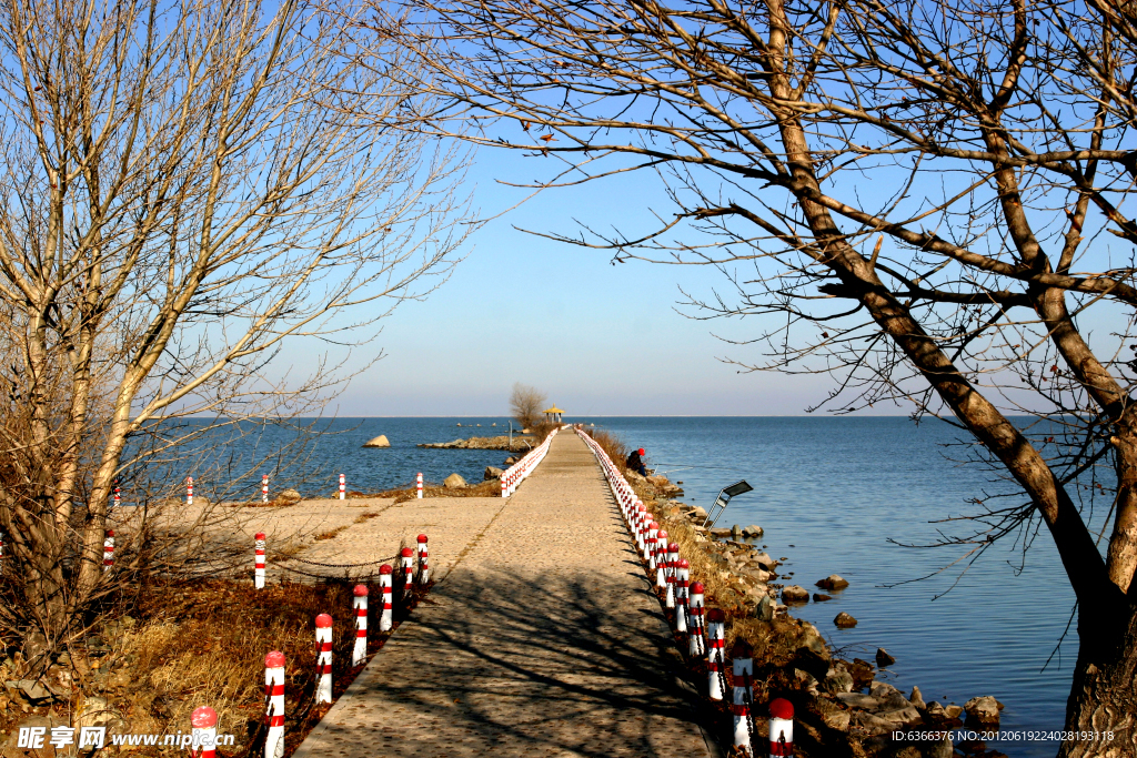 大慶 黑魚湖