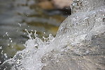 水珠