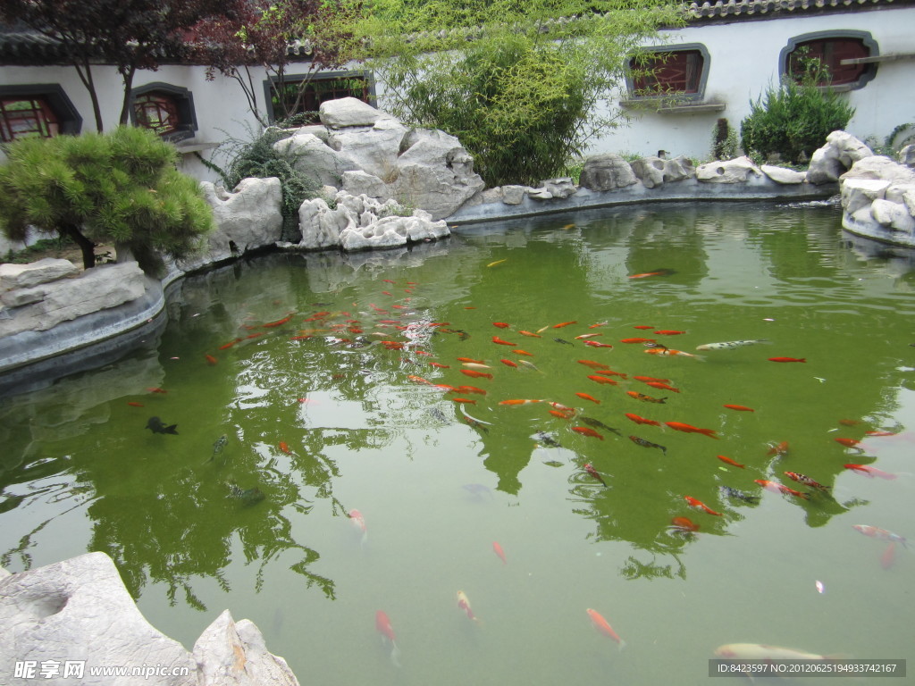 素景園池塘