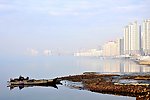 江边雾景图片