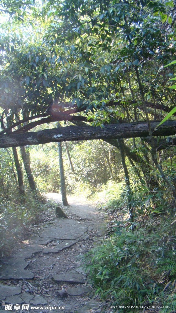 莽山