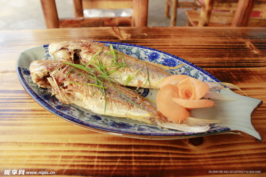 金絲魚