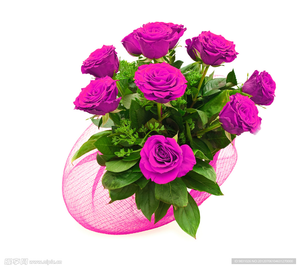 玫瑰花