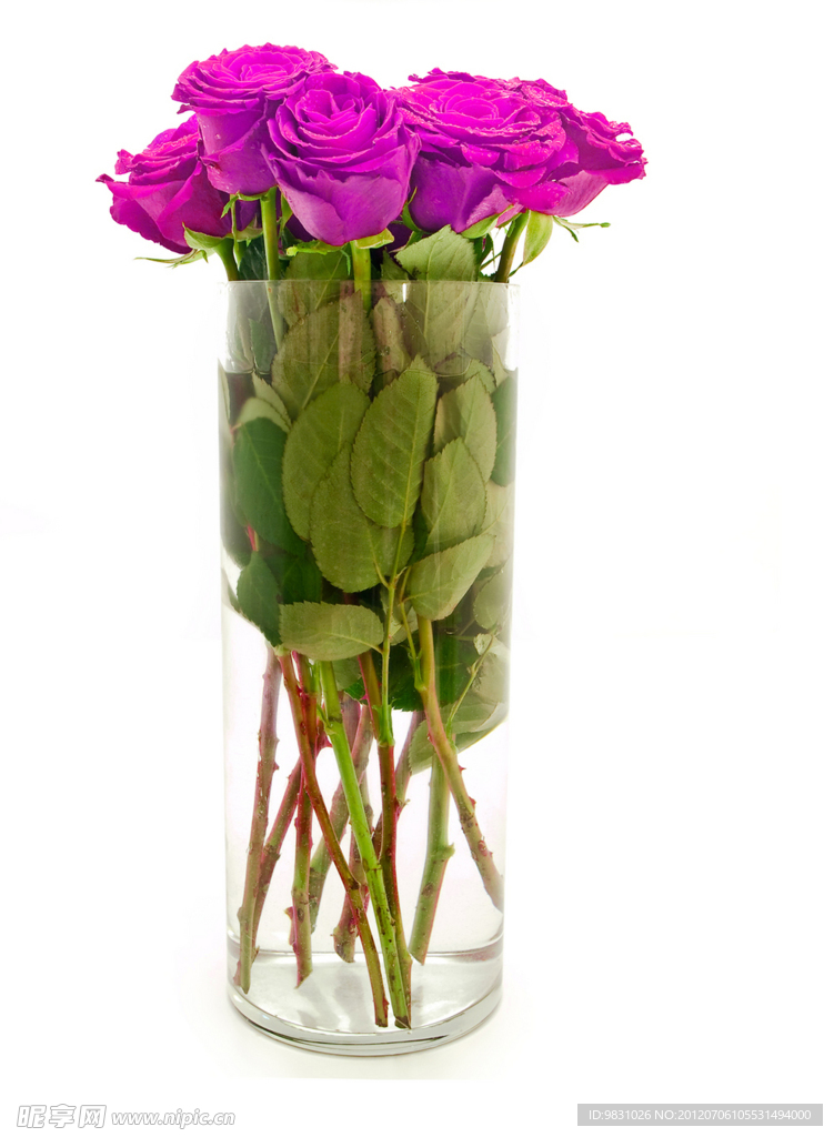 玫瑰花