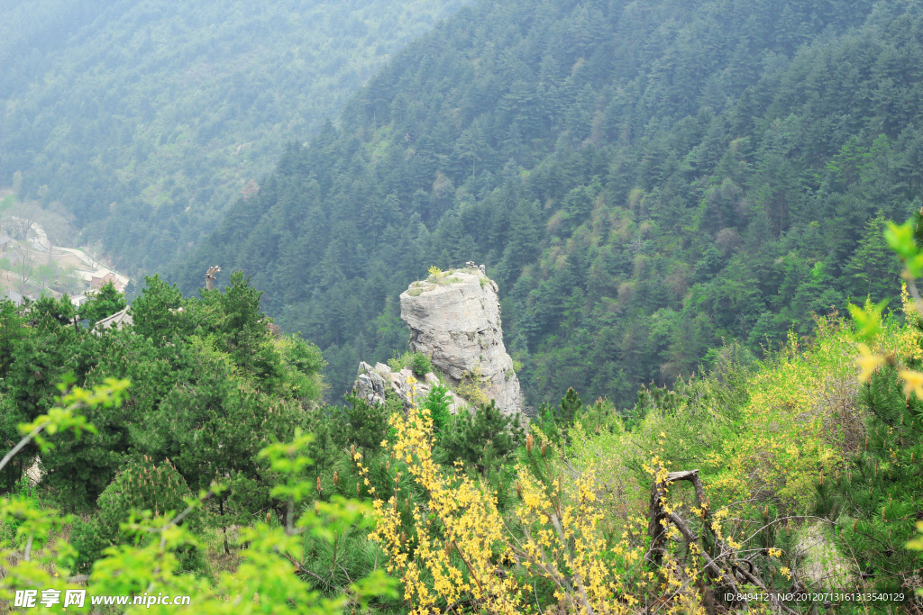 綠色的山野