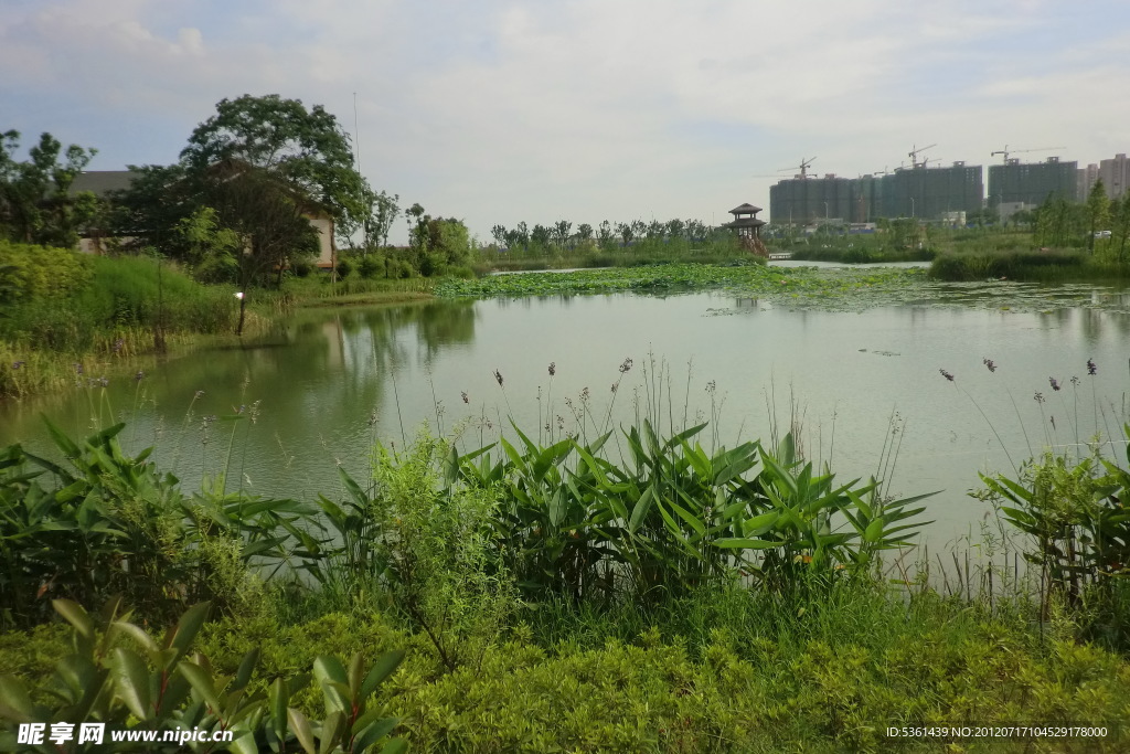 長沙混地公園