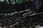 石頭