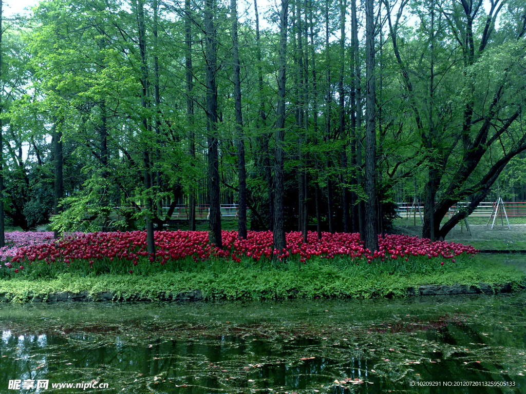 公園景色