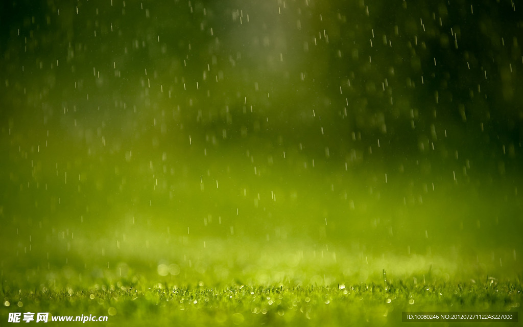 春雨