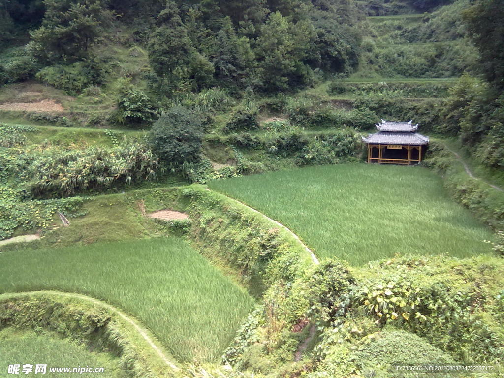 梯田
