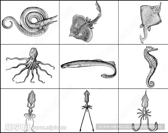 章鱼带鱼海马海洋生物笔刷