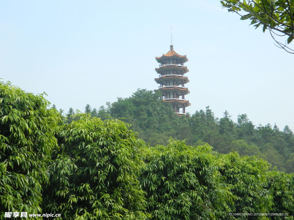 深圳植物園風(fēng)景