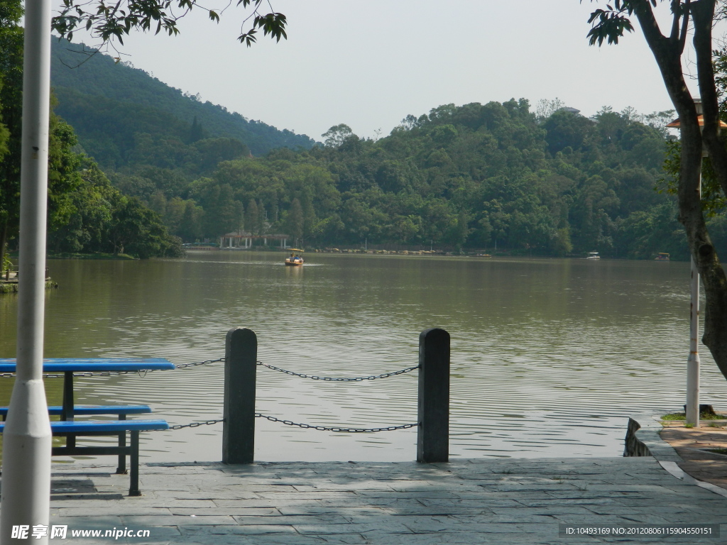 深圳植物園風(fēng)景