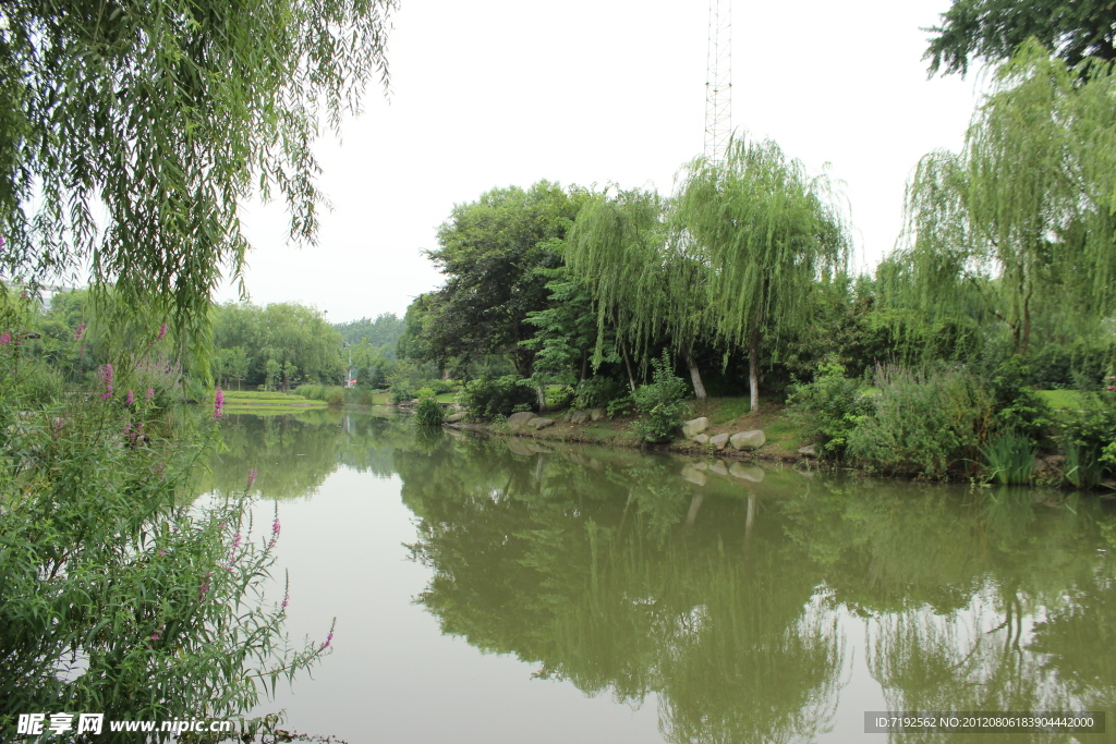 公園一角
