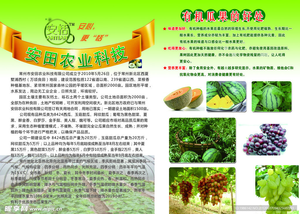 水果蔬菜类农业科技单页