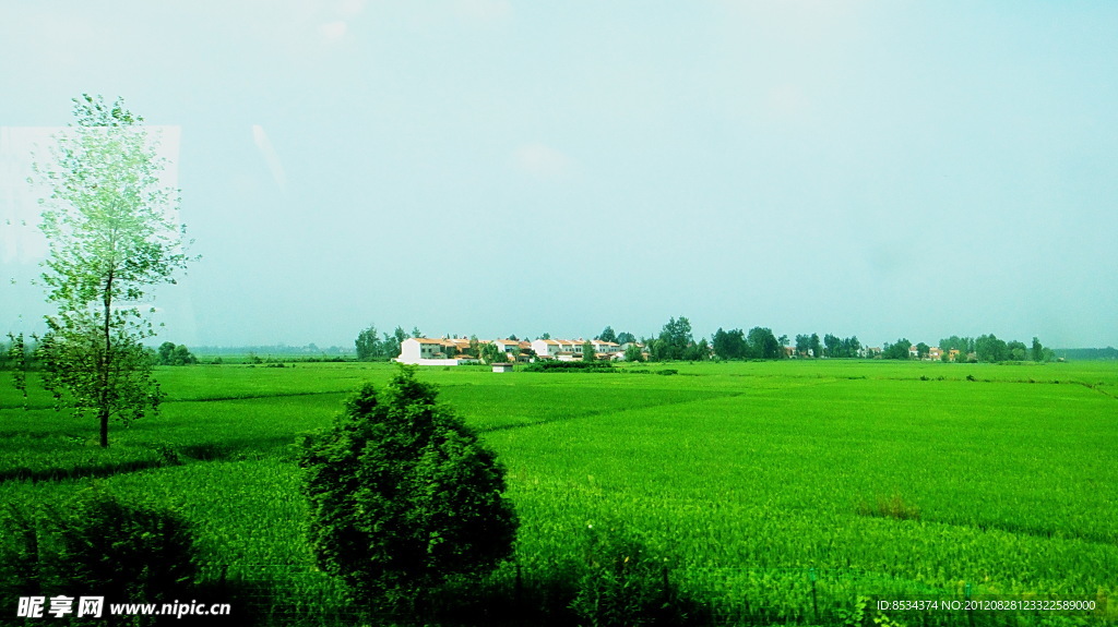 田園景觀