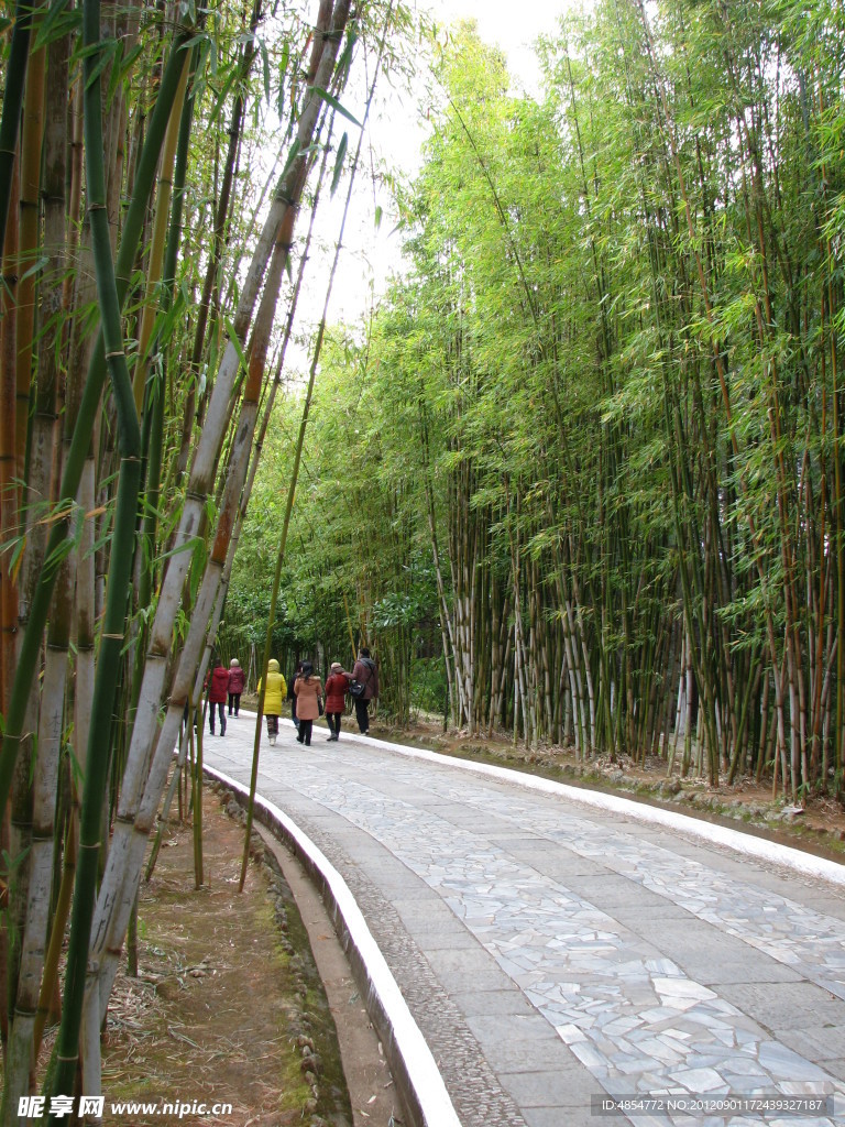 蝴蝶泉
