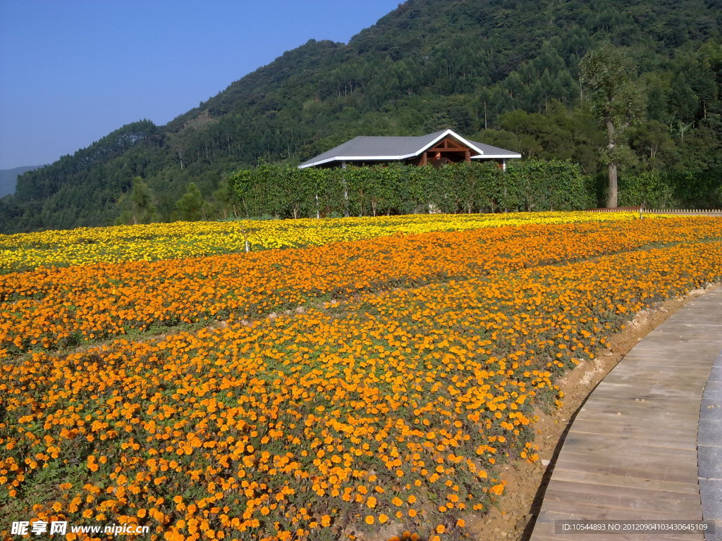 十里藍山
