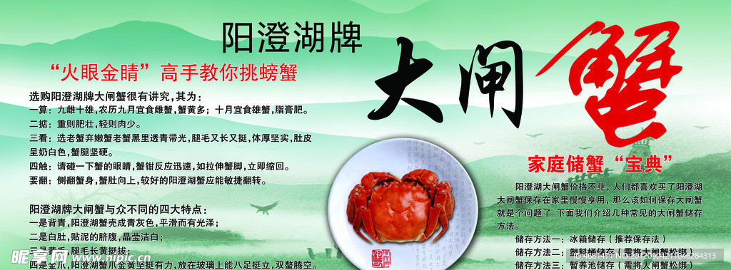 陽澄湖牌大閘蟹