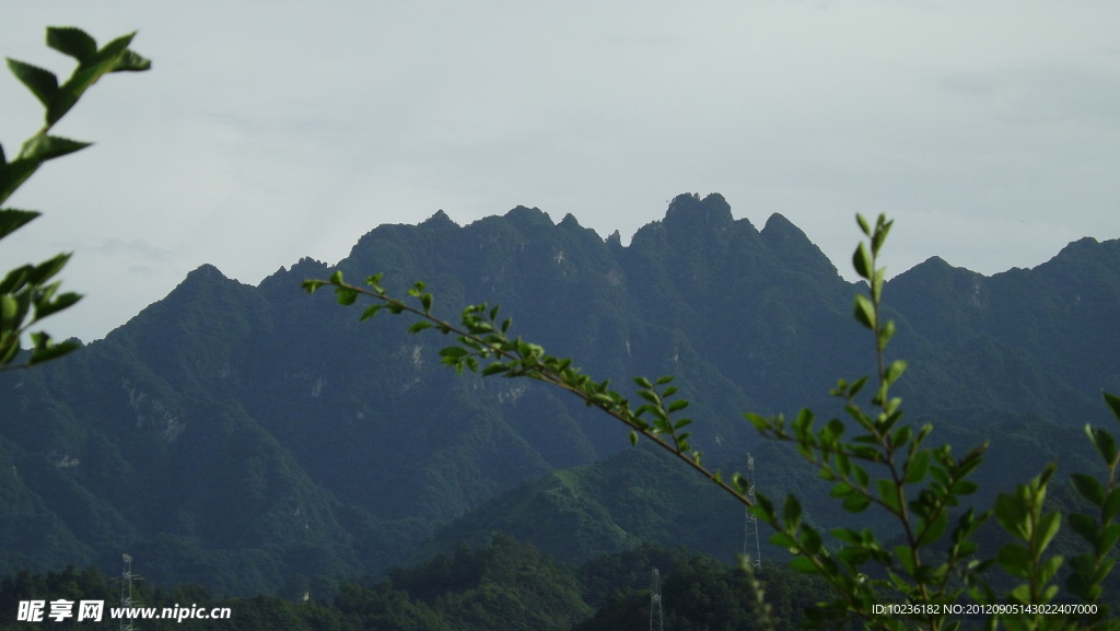 青山如障