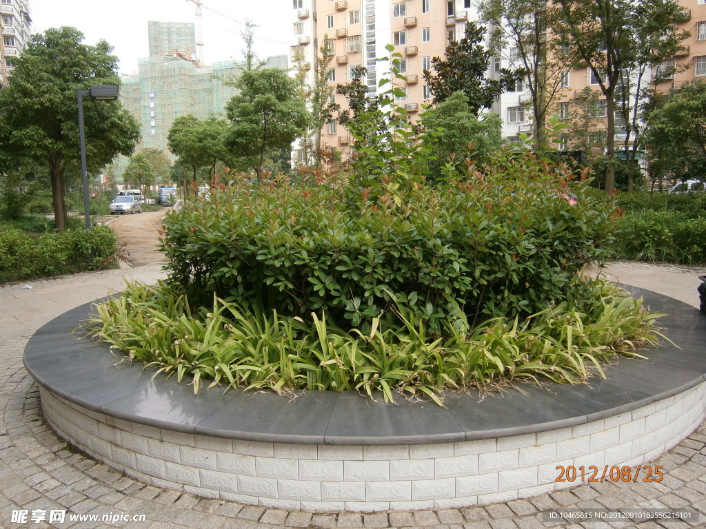 花壇