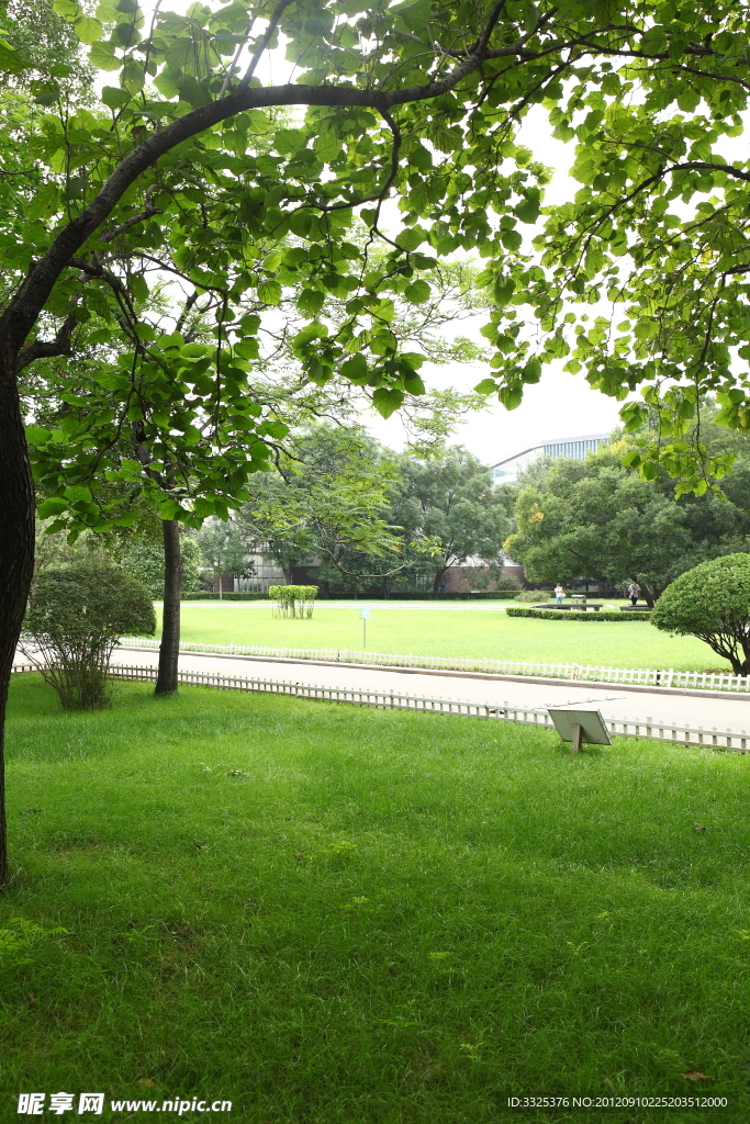 綠地