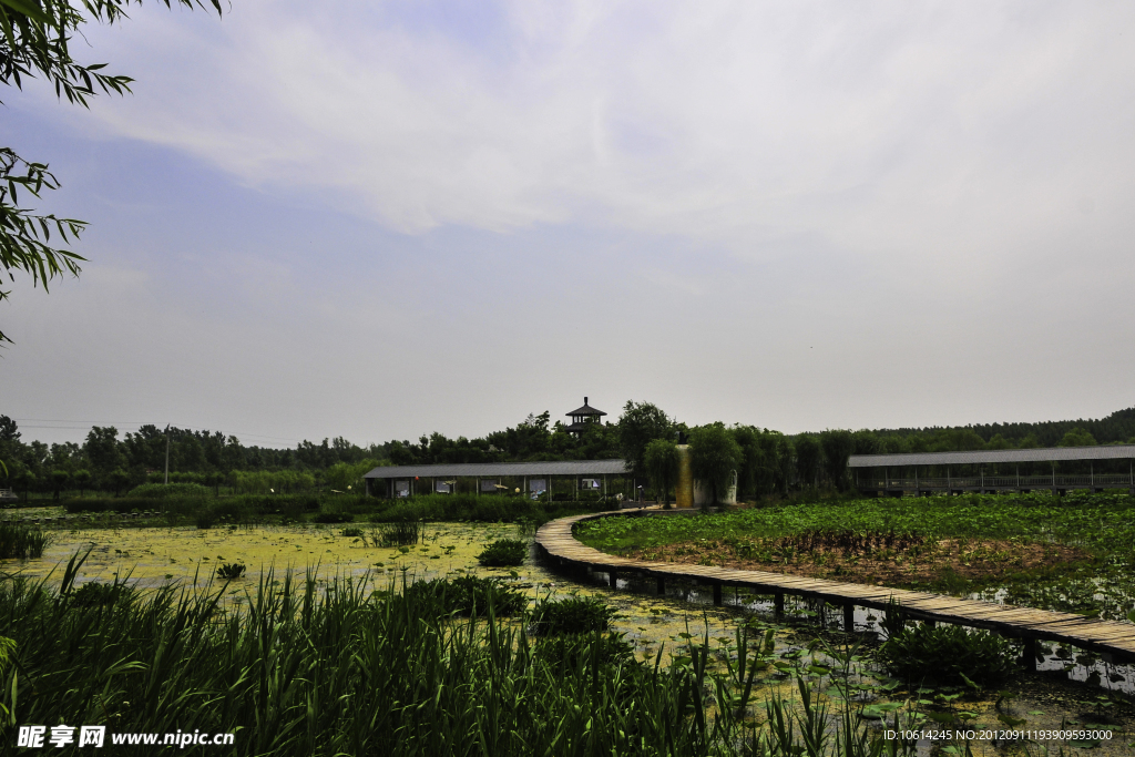 聊城植物園