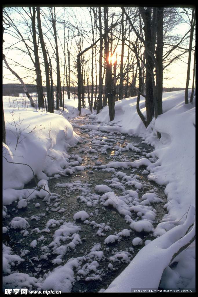 雪景
