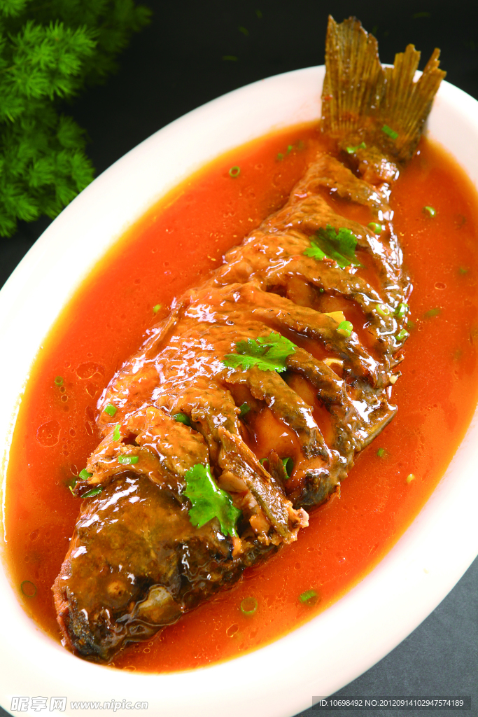 黃河鯉魚