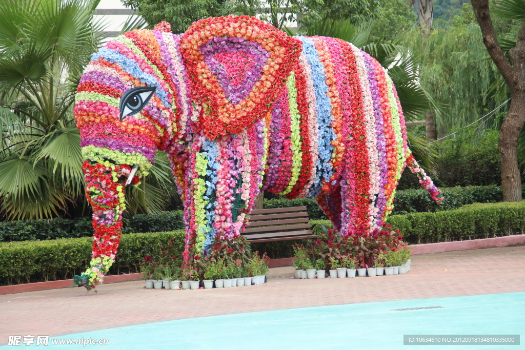 温州乐园小旅游 大象