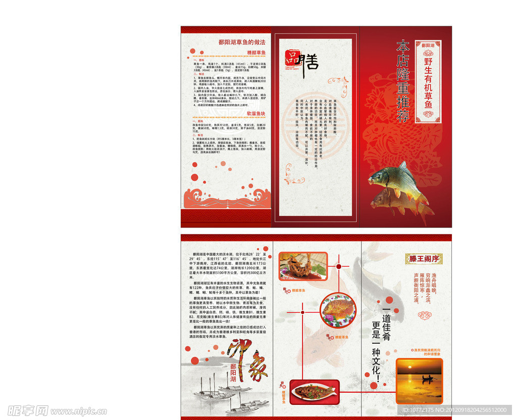 草魚三折頁