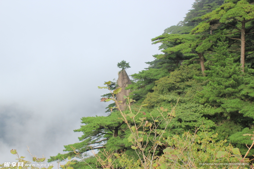 黃山的山