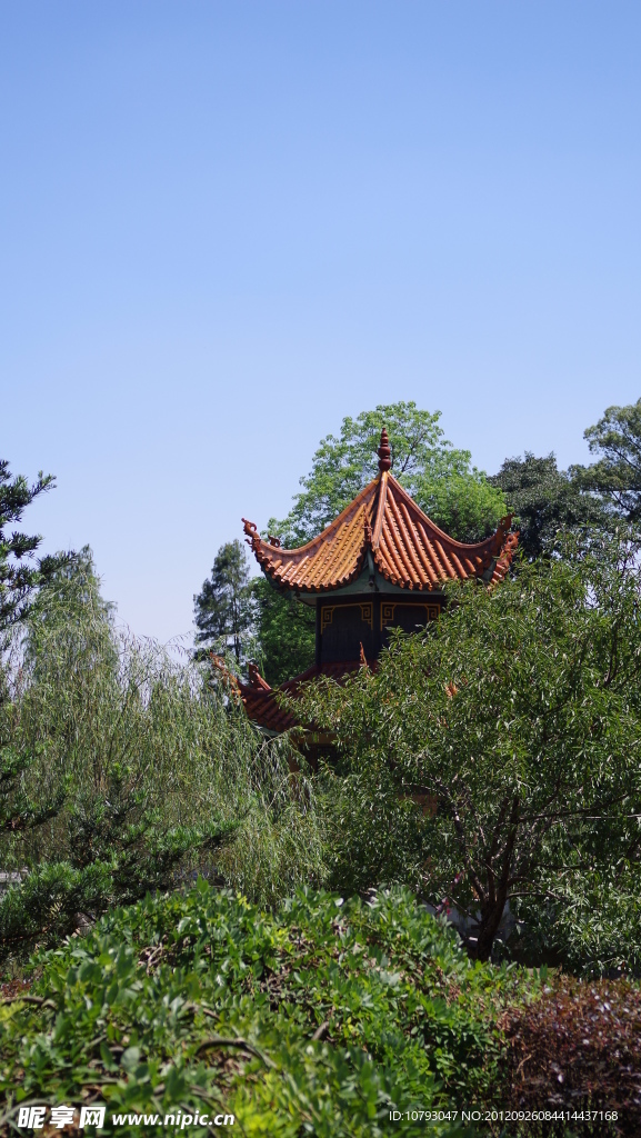岳麓山深山古亭