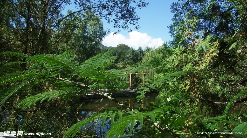 靈山風光