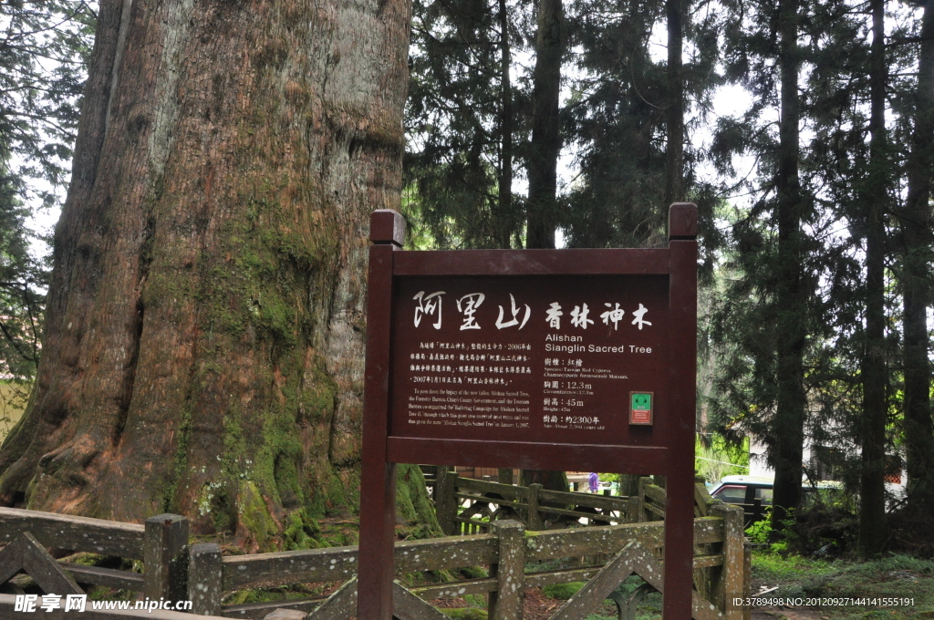 阿里山