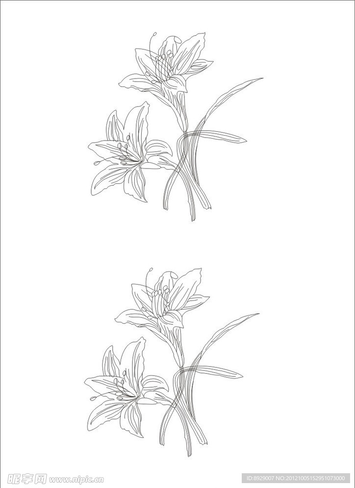 萱草花 忘憂草