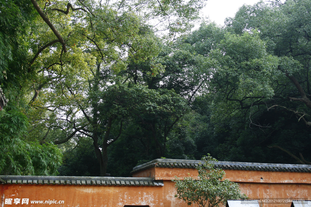 國清寺