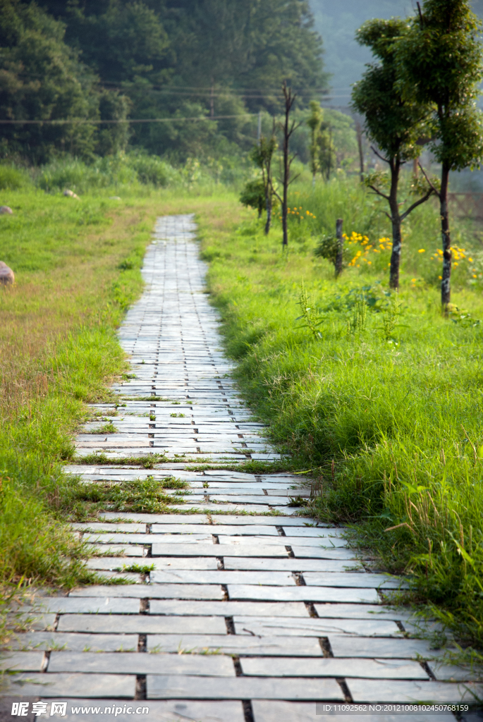 風景小路