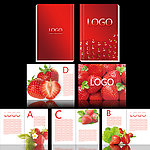 草莓产品整体画册设计