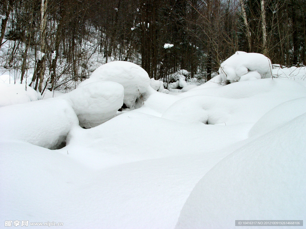 雪地森林