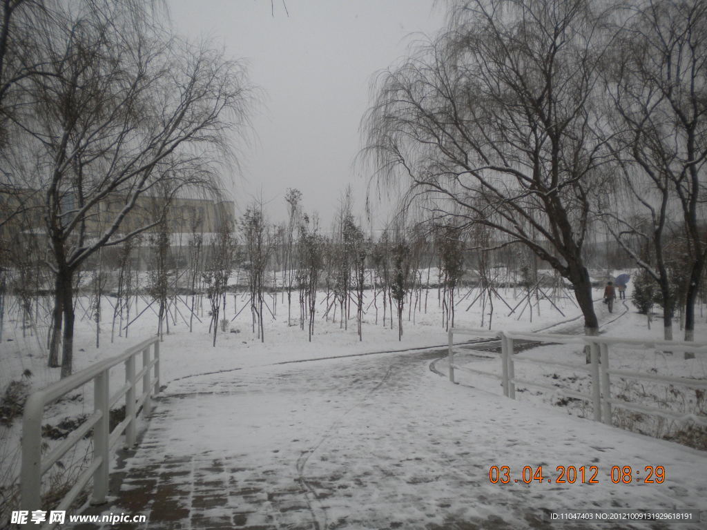 小橋之雪景