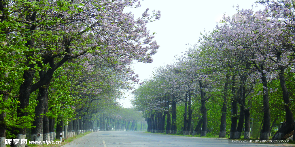 林間公路
