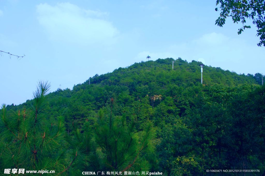 麓湖山 風景